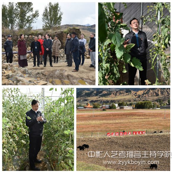 校黨委常委、副校長(zhǎng)高中偉查看四川師范大學(xué)投資援建的蔬菜大棚生產(chǎn)基地和四川師范大學(xué)生態(tài)農(nóng)場(chǎng)